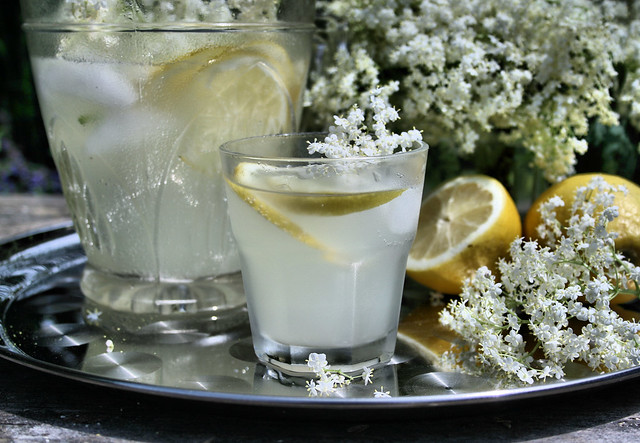 Old Fashioned Elderflower Cordial Old Fashioned Elderflower Cordial