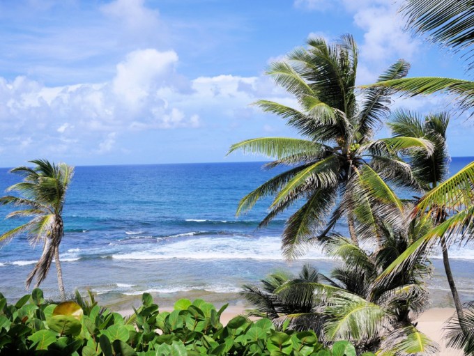 Bathsheba Barbados