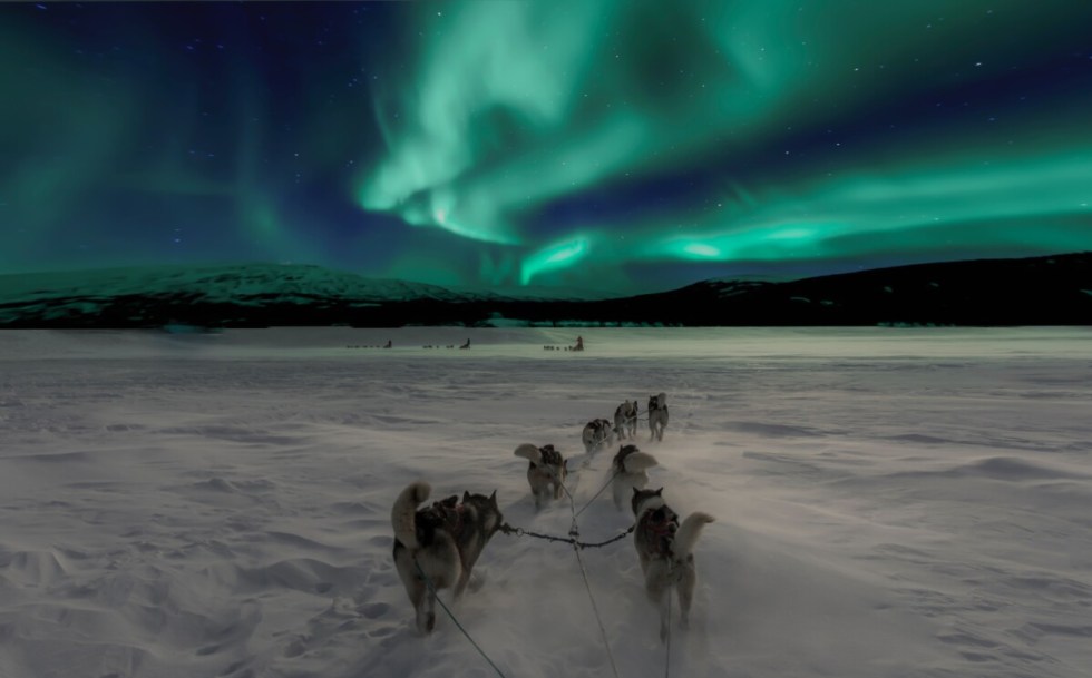 Husky Driving